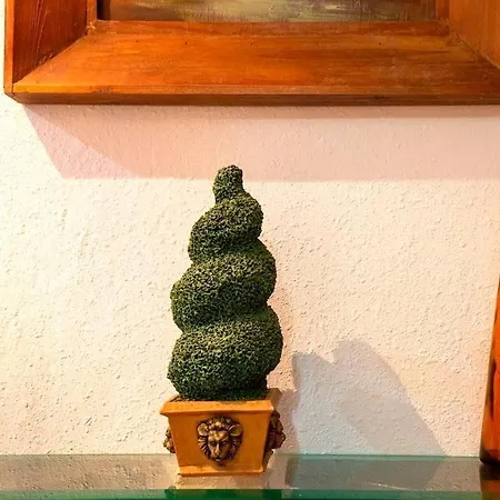 Aptoacogedor Gijón
